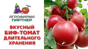 Вкусный малиновый биф-томат длительного хранения СПАРТАНЕЦ F1