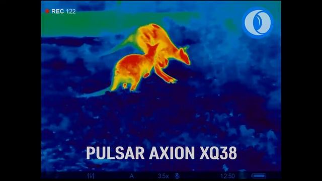 Temovize Pulsar Axion XQ38 смотреть онлайн