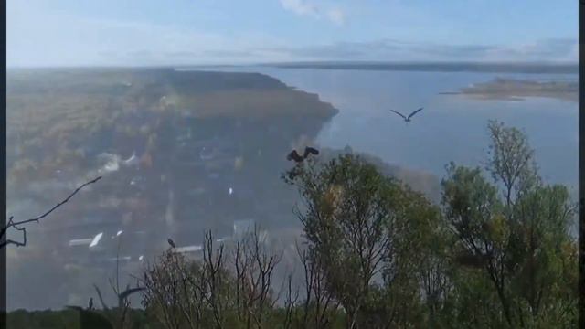 Наша Красная Поляна Д. Шпоркина и Ф. Горобцов смотреть онлайн