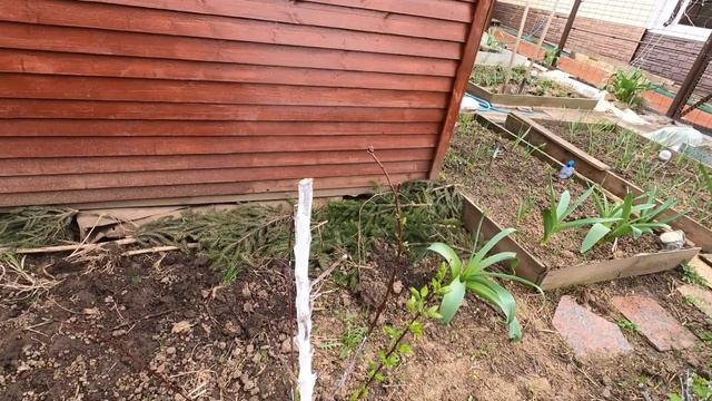 Утоки Черри-Велли смотреть онлайн