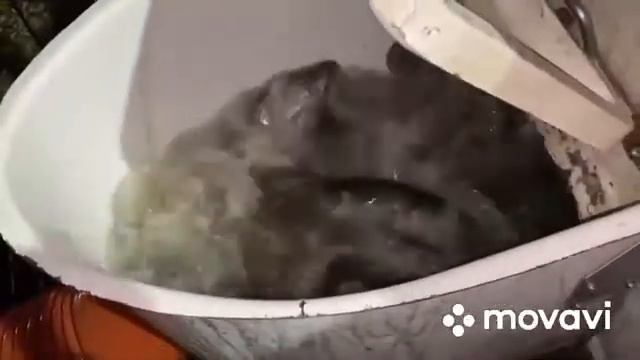 Форель в Ольгово. смотреть онлайн