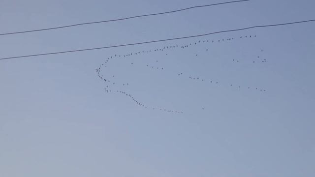 Начало октября в Доме у Реки. Распилила все доски. смотреть онлайн
