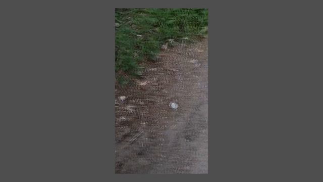 мы с тобой и наш 2019 год смотреть онлайн
