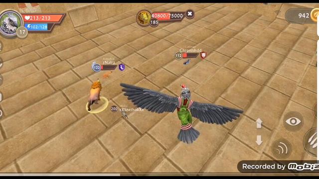 новое животное орёл🦅!!! смотреть онлайн