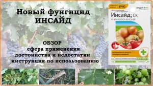 Инсайд - новый препарат от фитофтороза и пероноспороза