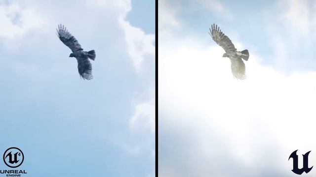 Meerkat Demo Comparison UE4 vs UE5.1 [LIGHTING STUDY] смотреть онлайн