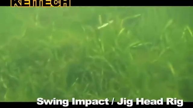 Убойная спиннинговая приманка. Keitech Swing Impact. Ловля на джиг. смотреть онлайн