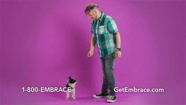Embrace Pet Insurance Commercial (15 sec) смотреть онлайн