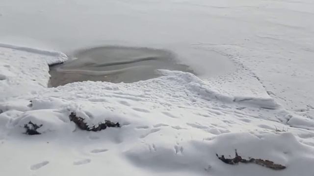 Оз. Нарочь, район Курортного Поселка, Ручей. Беларусь. 05.02.2021г. смотреть онлайн