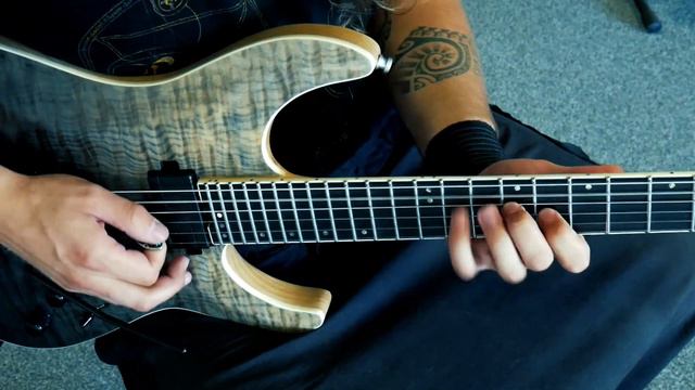Sweet Valkyrie - Schecter SLS Elite смотреть онлайн