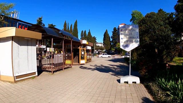 Площадь ЦНК и последняя магнолия! 05.05.2021.🌴ЛАЗАРЕВСКОЕ и Я смотреть онлайн