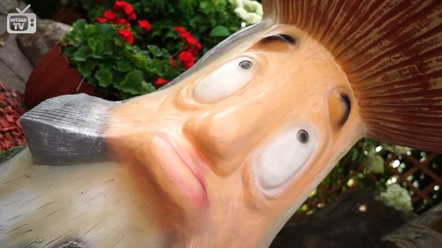 Как украсить сад - Интернет-магазин ХИТСАД