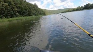 Щуки, окуни, голавли на Уфе. Рыбалка в Башкирии.