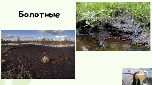 4К Окружающий мир: «Земля - кормилица» смотреть онлайн