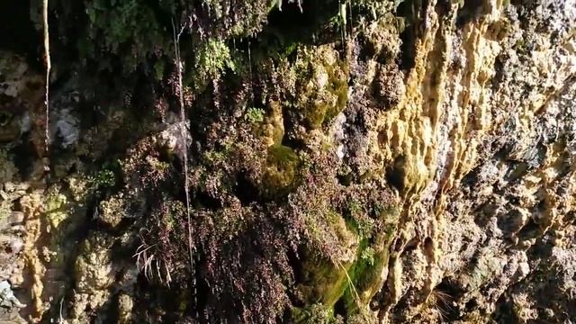 Малая бухта-Анапа. Плачущие горы. 13.12.2021год. смотреть онлайн