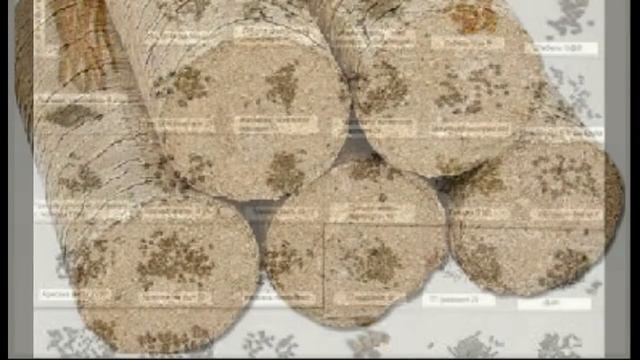 Тайна стрельбы ,пушки перуны,часть 1