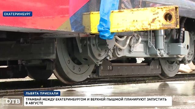 «Львята» приехали: трамвай между Екатеринбургом и Верхней Пышмой планируют запустить в августе смотреть онлайн