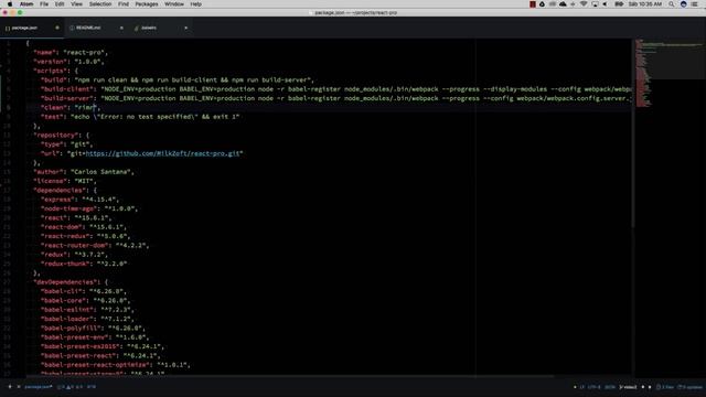 Curso: React Profesional - Configuración de NPM Scripts #2 смотреть онлайн