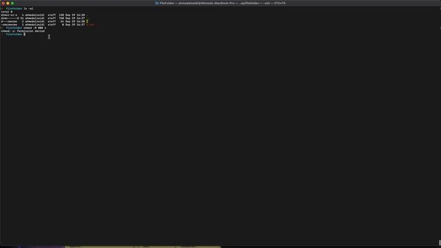 Terminal: Permission denied смотреть онлайн