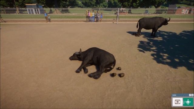Planet Zoo - African Buffalo Gameplay (PC HD) [1080p60FPS] смотреть онлайн