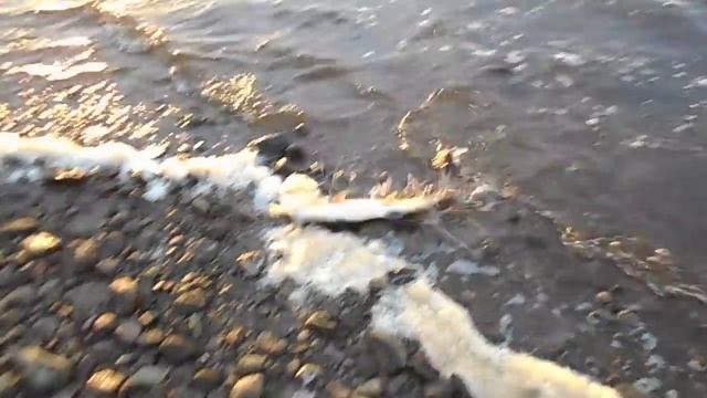 Трофейная рыбалка на Нельму! Река Обь Ямал! смотреть онлайн