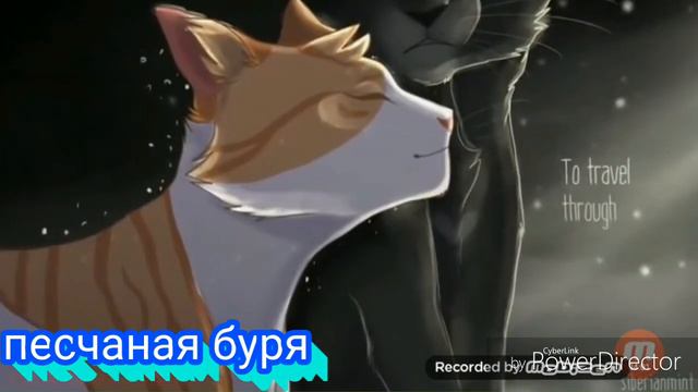 •остролистая~черный список~коты воители~клип• смотреть онлайн