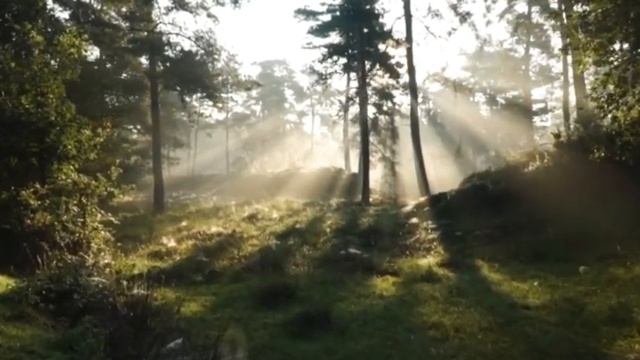 Танғы зікір.Танғы береке.?Утренний Зикир Утренний баракат☀️ смотреть онлайн