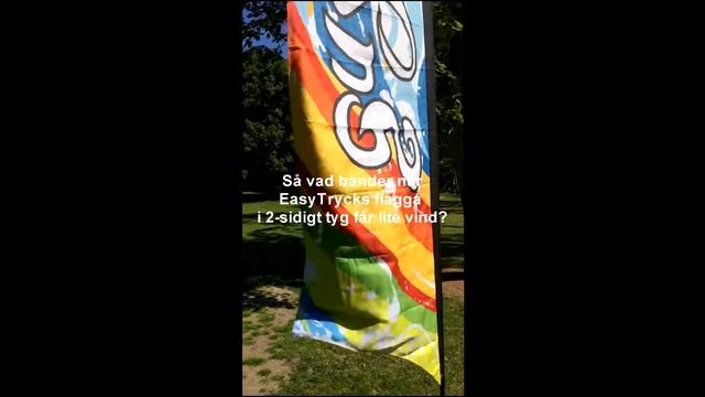 EasyTrycks flagga i 2-sidigt tyg смотреть онлайн