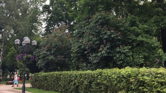 Парк Шевченка - любимое место в Киеве смотреть онлайн