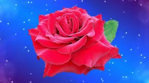 Футаж. Цветочный фон 172