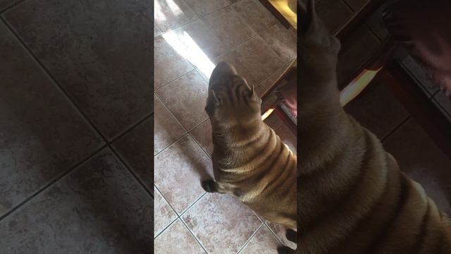 Время обедать 12:00 смотреть онлайн