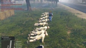 КАК ПОЛУЧИТЬ ВОЕННЫЙ БИЛЕТ? MAJESTIC RP