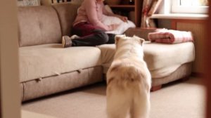 Характер Аусси