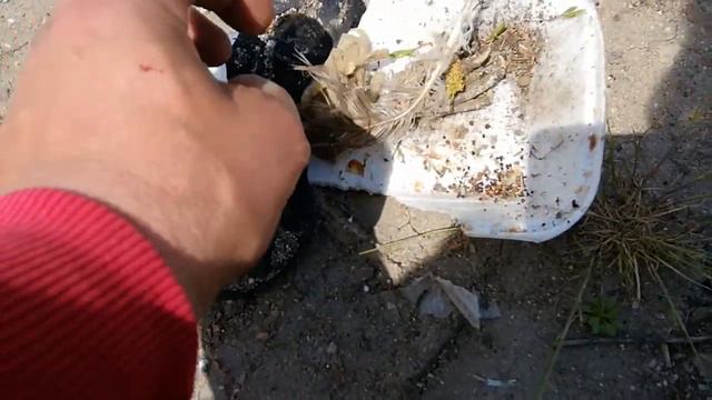 Разваляне на магия.Черна магия.За разваляне на черни магии.Разваляне на магия с урина.Вуду магия. смотреть онлайн
