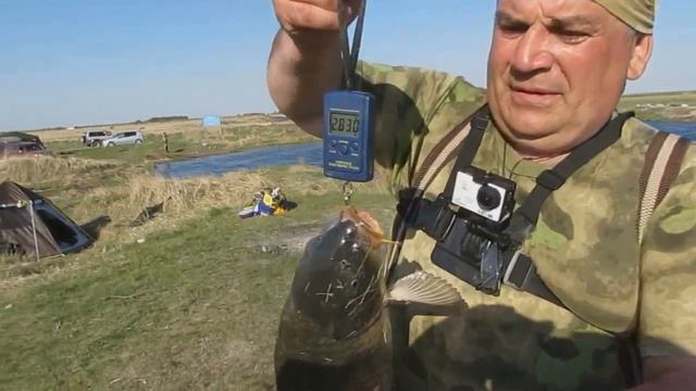 Рыбалка на сазана озеро Сартлан 2020 май открыли сезон смотреть онлайн