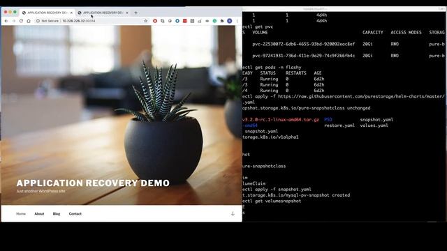 Instant Application Recovery in Kubernetes (K8's) using FlashArray смотреть онлайн
