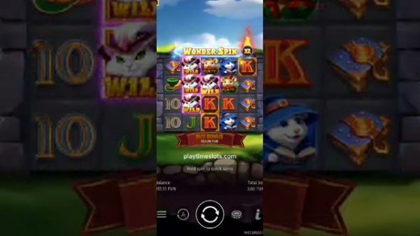 Mice & Magic Wonder Spin