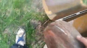 Мангал из газового баллона. Самый простой вариант!