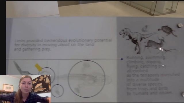 Tour the Hall of Vertebrate Origins at AMNH #LearnWithMe смотреть онлайн