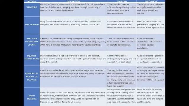 The Red Squirrel (Sciurus vulgaris) смотреть онлайн