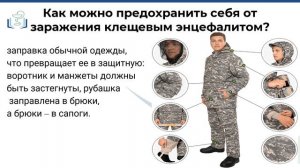 Видеопрезентация клещевой энцефалит и его профилактика