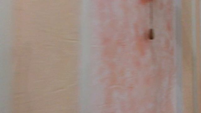 Крупногабаритная двушка с отдельным входом от собственника. Севастополь смотреть онлайн