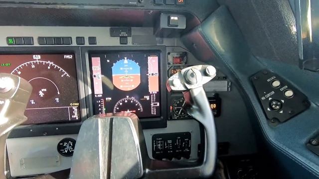 Gulfstream G-IV Trim (The Black And White Wheels) - Pilot VLOG 099