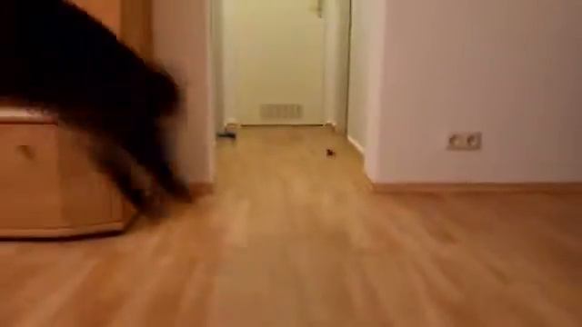 Kater 7 смотреть онлайн