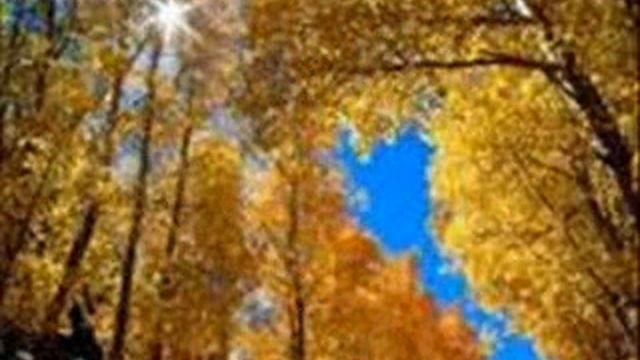 Стихотворение "Осень"WMV смотреть онлайн