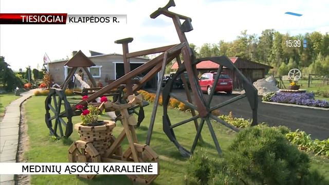 Laba diena, Lietuva | Medinių ąsočių karalienė смотреть онлайн