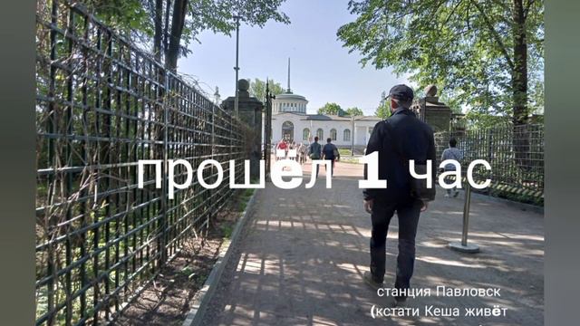 мини фильм (богач Кеша Кеший начало) серия 1 смотреть онлайн