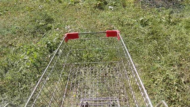 тележка в лесу hd смотреть онлайн