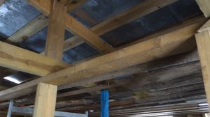 Бюджетный телятник для бычков