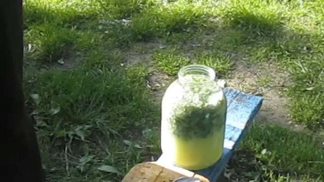 Профилактика рака - чистотел смотреть онлайн